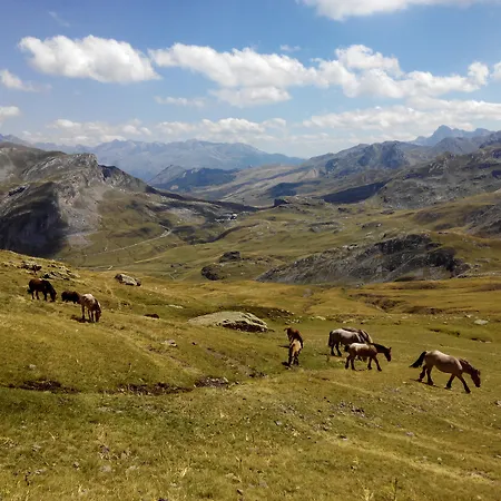 Abadia Del Pirineo Hotel 4*